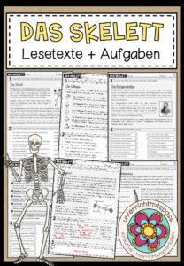 DAS SKELETT – Lesetexte + Aufgaben