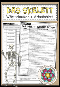 DAS SKELETT – Wörterlexikon + Arbeitsblatt