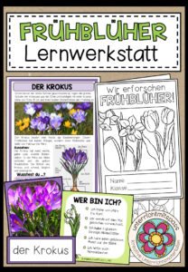 FRÜHBLÜHER – LERNWERKSTATT
