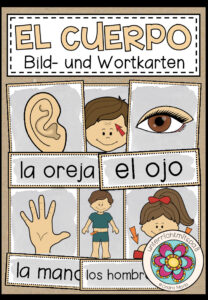 EL CUERPO – Bild- und Wortkarten (Spanisch)