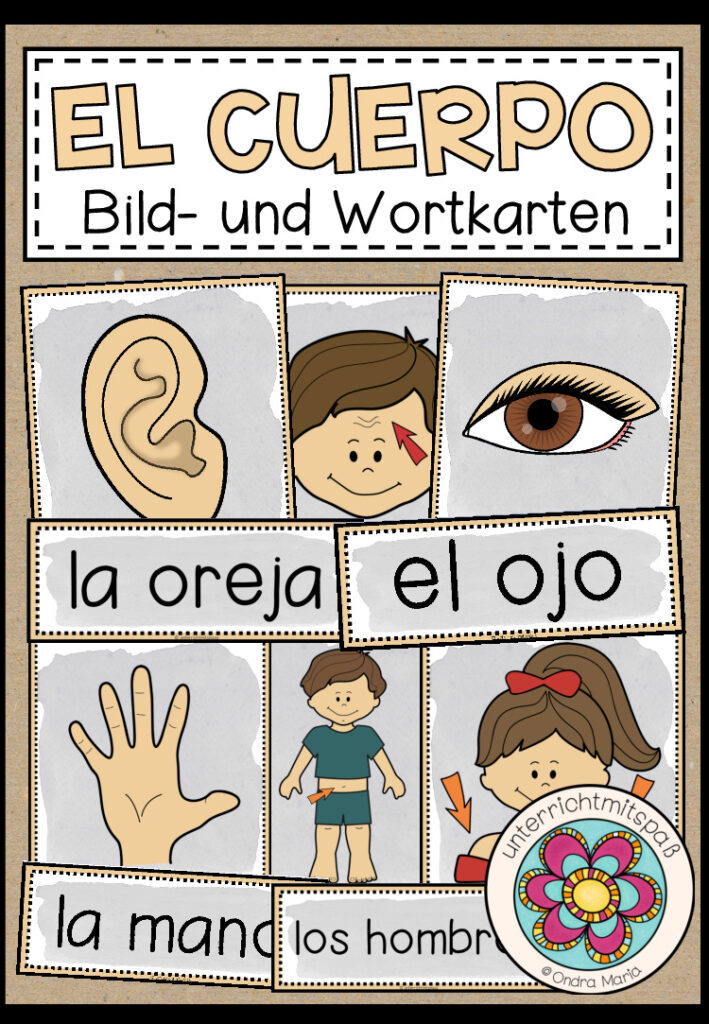 EL CUERPO – Bild- und Wortkarten (Spanisch)