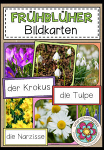 FRÜHBLÜHER – Bildkarten
