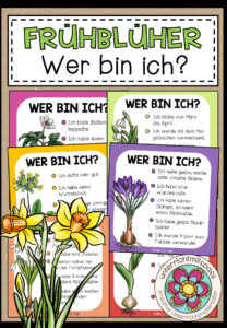 FRÜHBLÜHER – Wer bin ich? (Spiel)