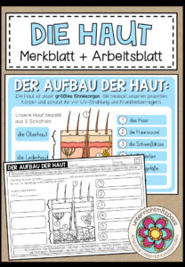 Der Aufbau der Haut – Merkblatt / Präsentationsfolie + Arbeitsblatt