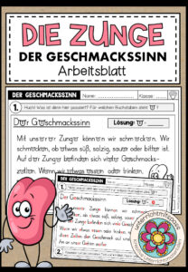 Der Geschmackssinn – Arbeitsblatt