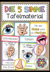 DIE 5 SINNE – Tafelmaterial