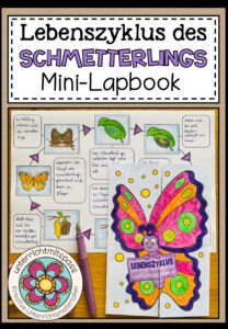 DER LEBENSZYKLUS DES SCHMETTERLINGS – Mini Lapbook
