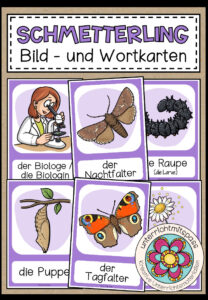 DER SCHMETTERLING – Bild- und Wortkarten