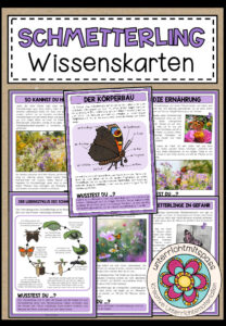 DER SCHMETTERLING – Wissenskarten