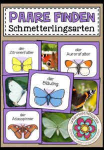 DIE SCHMETTERLINGSARTEN – Paare finden
