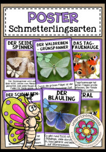 DIE SCHMETTERLINGSARTEN – Poster