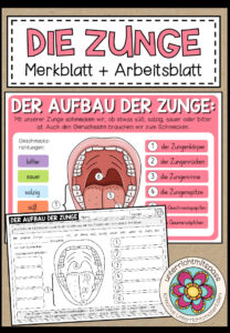 Der Aufbau der Zunge – Merkblatt / Präsentationsfolie + Arbeitsblatt