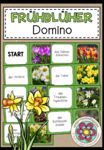 FRÜHBLÜHER – Domino