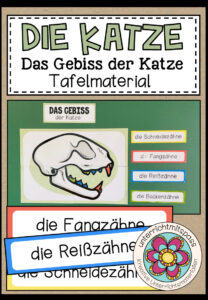 DAS GEBISS DER KATZE – Tafelmaterial