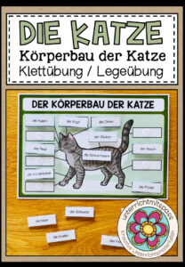 DER KÖRPERBAU DER KATZE – Klettübung / Legeübung