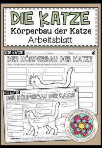 DER KÖRPERBAU DER KATZE – Arbeitsblatt