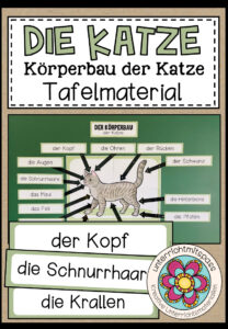 DER KÖRPERBAU DER KATZE – Tafelmaterial