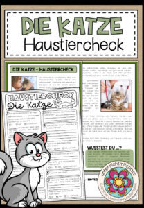 DIE KATZE – Haustiercheck
