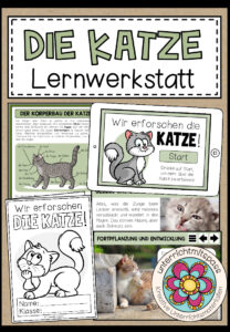 DIE KATZE – Lernwerkstatt