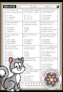 DIE KATZE – Quiz Arbeitsblatt