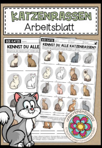 DIE KATZENRASSEN – Arbeitsblatt