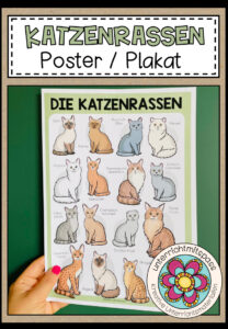 DIE KATZENRASSEN – Poster