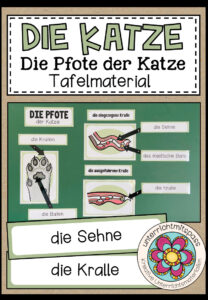 DIE PFOTE DER KATZE – Tafelmaterial