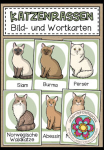 KATZENRASSEN – Bild- und Wortkarten