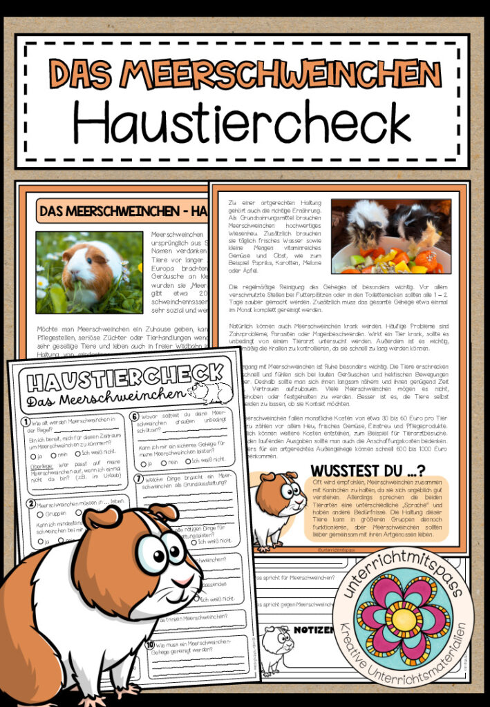 DAS MEERSCHWEINCHEN – Haustiercheck