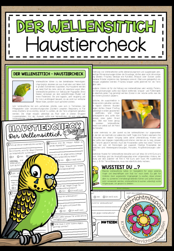 Der Wellensittich – Haustiercheck