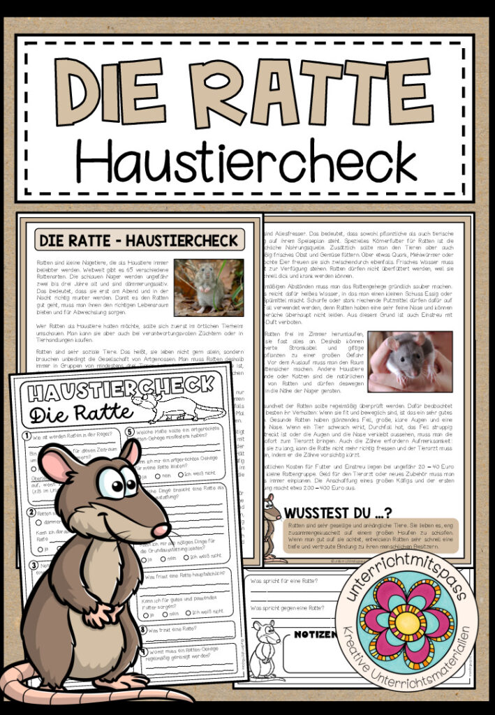 Die Ratte – Haustiercheck
