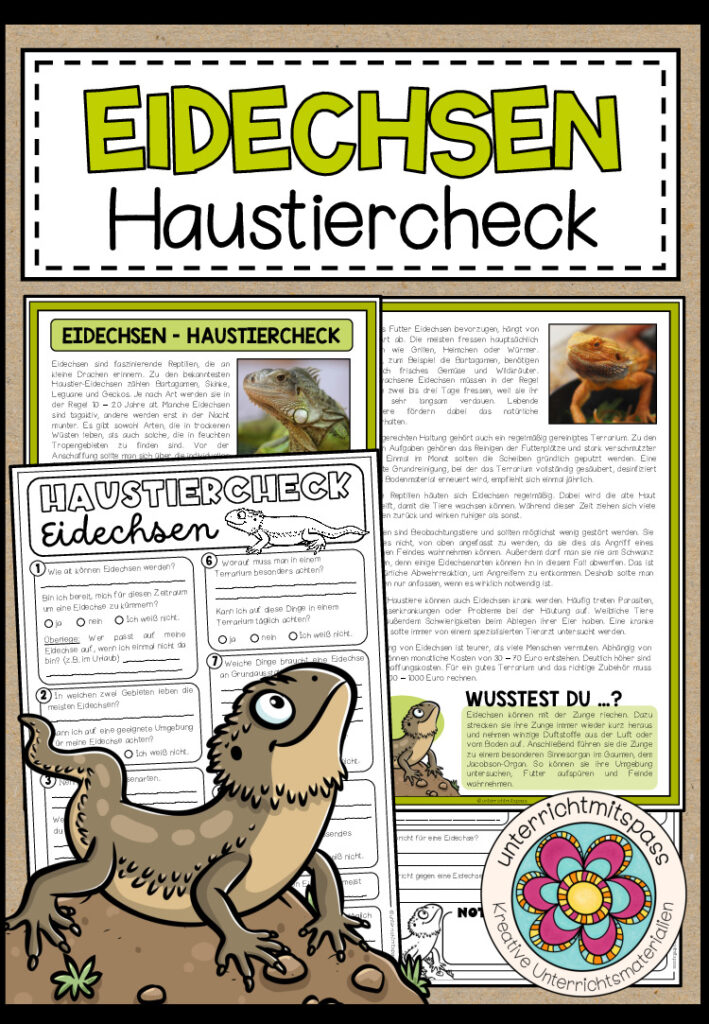 Eidechsen – Haustiercheck