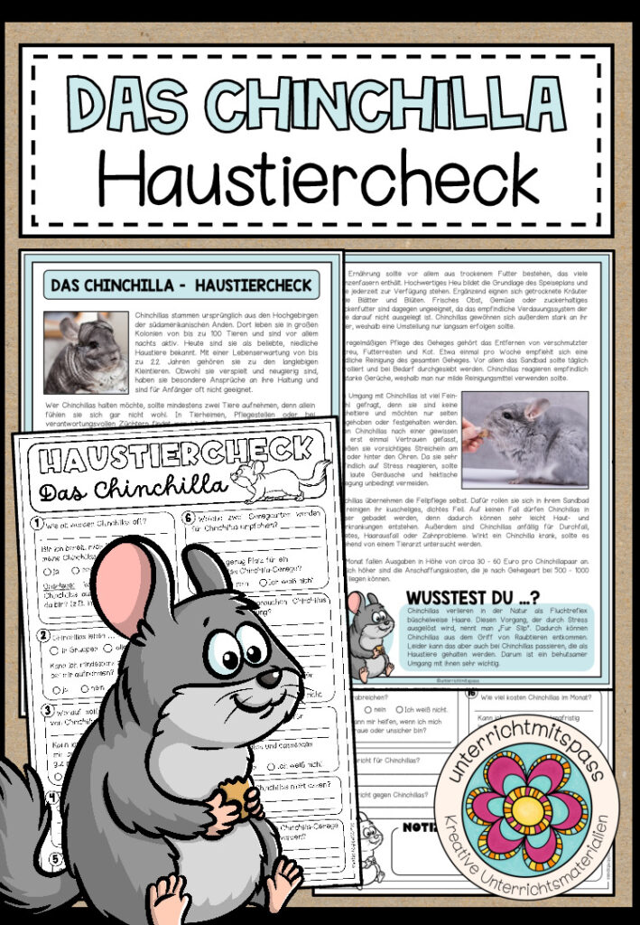 DAS CHINCHILLA – Haustiercheck