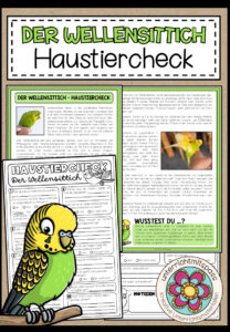 Der Wellensittich – Haustiercheck
