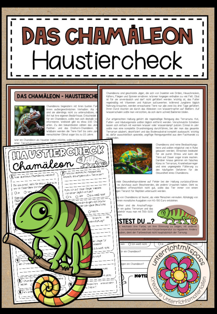 DAS CHAMÄLEON – Haustiercheck