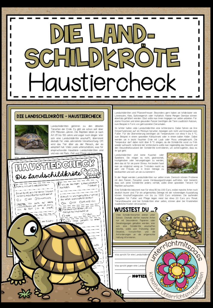DIE LANDSCHILDKRÖTE – Haustiercheck