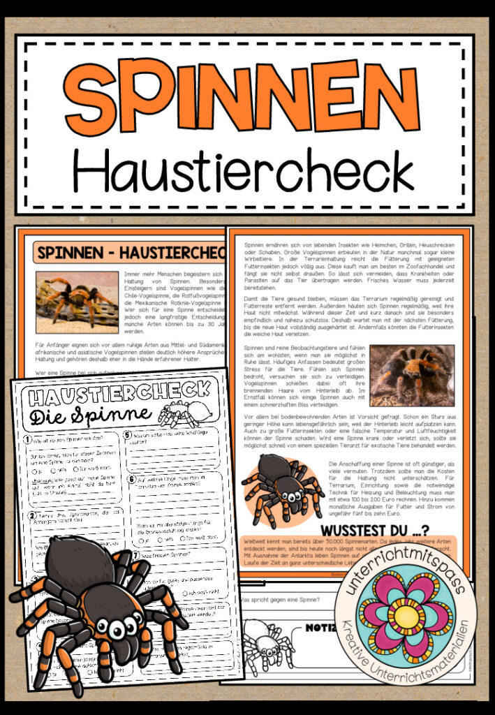 SPINNEN – Haustiercheck