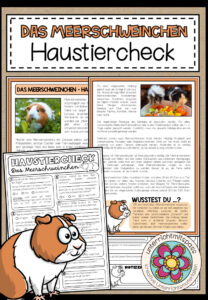 DAS MEERSCHWEINCHEN – Haustiercheck