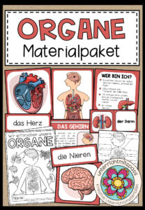 Cover des Pakets „DIE ORGANE - Materialpaket“