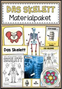 DAS SKELETT – Materialpaket